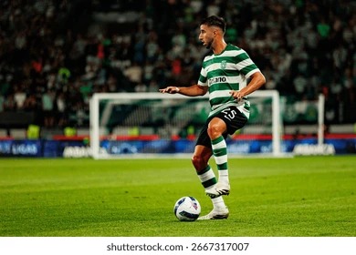 首页信息架构示意