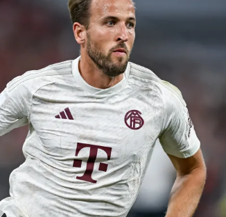 了探讨和消 了探讨和消